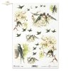 ptak, ptaki, jaskółka, jaskółki, kwiaty, wiosna, R673, bird, birds, swallow, flowers, spring, Vogel, Vögel, Schwalbe, Blumen, Frühling, pájaro, golondrina, flores, primavera 